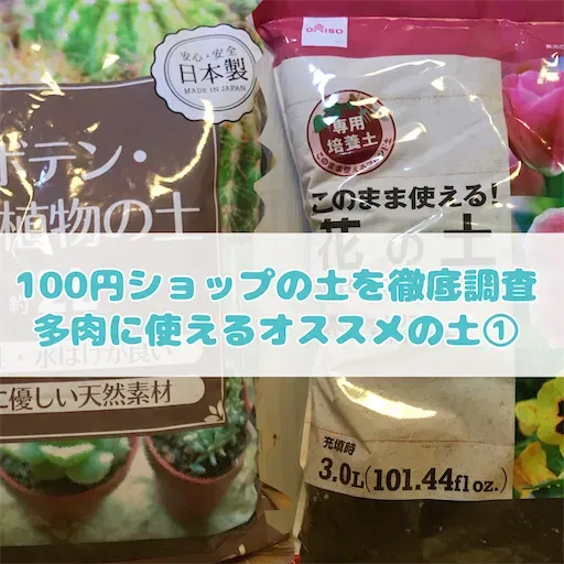 多肉植物 土 ダイソー で始める！プロも驚く簡単＆絶対成功テクニック